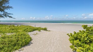 A sandy beach with green vegetation and a clear blue sky. - Ground-Floor Gulf Retreat-Outrigger #5 by RVA (Longboat Key)