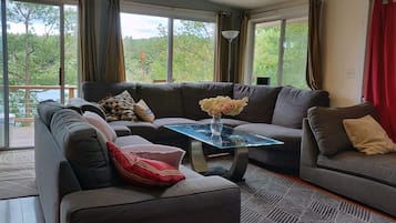 Smart TV, chimenea, libros y estéreo