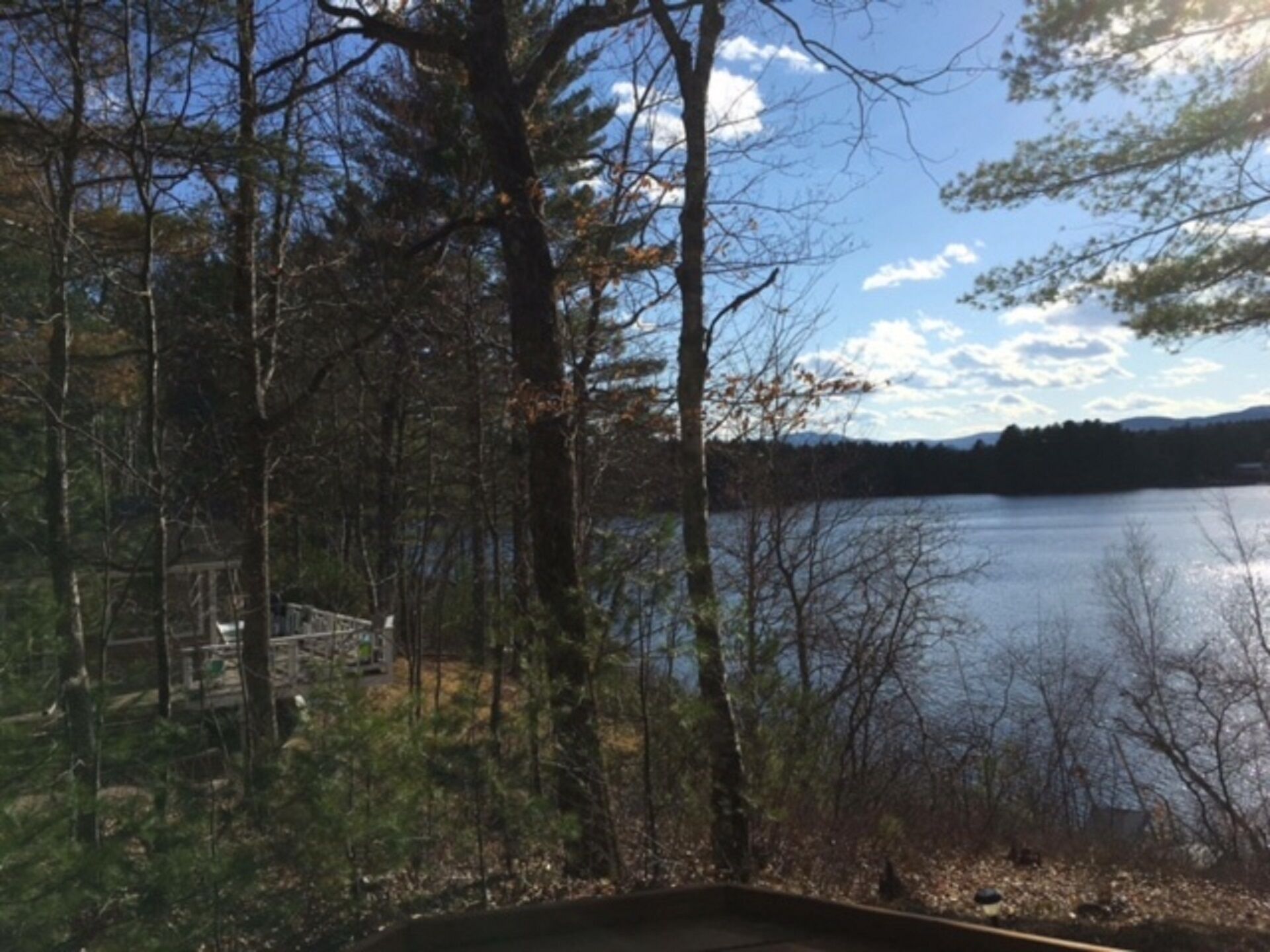 Una cabaña con vista a un lago y un bosque.