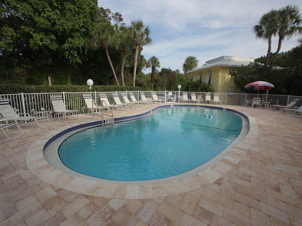 A swimming pool with lounge chairs and umbrellas, surrounded by a fence and palm trees.