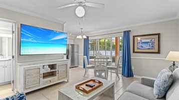 Télévision, lecteur de DVD, chaßne hi-fi, espaces bureaux