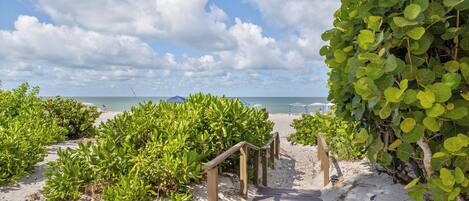 En la playa y sombrillas