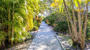 A pathway through a tropical garden with dense foliage and palm trees. - Courtside Getaway – Cedars East #605 by RVA (Longboat Key)