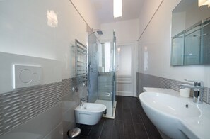 Shower, hair dryer, bidet, towels