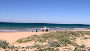 Vlak bij het strand