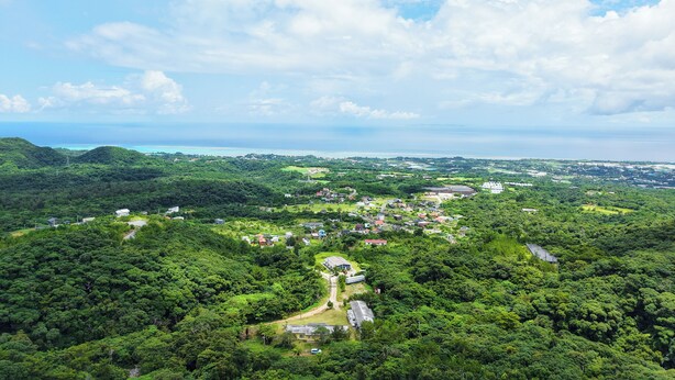 View from property - Cottage Sachi & HappyCafe (Nakijin)