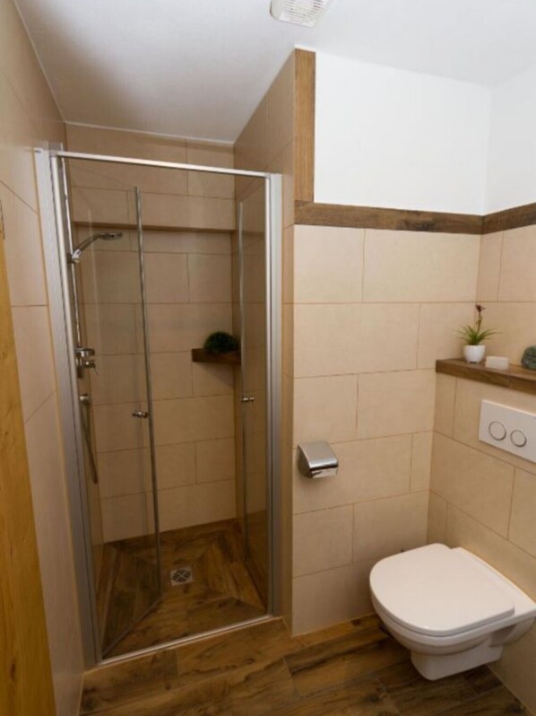 A bathroom with a glass-enclosed shower, a toilet, and a small shelf with a potted plant.