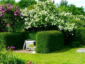 Property grounds - Apartment / Hof - FeWo WE 6402 Holiday u Fishing on Rügen-quiet location, Garden! (Trent)