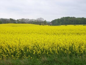Imagen sin descripción, 2 de 26, botón