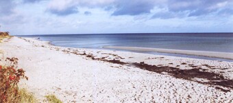 Ferienhaus See-Hedgehog Charrán FW - Charrán FW