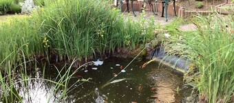 Cat 1 - Appartamento Krapohl