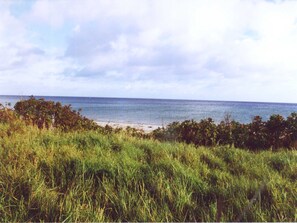 Paisaje costero con hierba, arbustos y vista al mar.