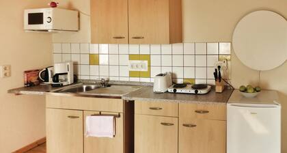 1 bedroom amazing apartment in Settin