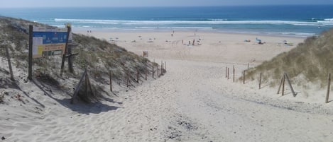 Una spiaggia nelle vicinanze