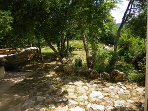 Un sendero de piedra que lleva a un banco de madera rústico, rodeado de abundante vegetación y árboles.
