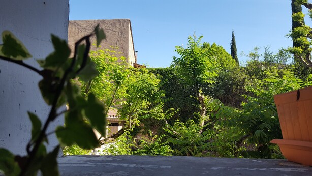 Un patio con diversas plantas y árboles, un edificio alto al fondo y una jardinera de madera.
