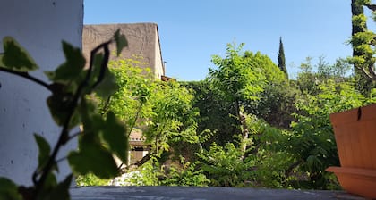 Charming 80m square apartment in the center of L'Isle sur la Sorgue