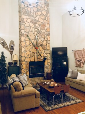 TV, fireplace, video games, DVD player