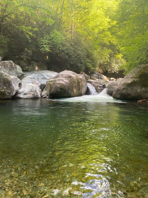 A clear stream flowing over rocks with sunlight filtering through trees.
