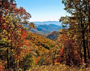 A mountainous landscape with autumn foliage.