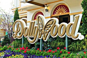 A sign for 'Dolly Food' with a stylized logo and a garden with colorful flowers in front.