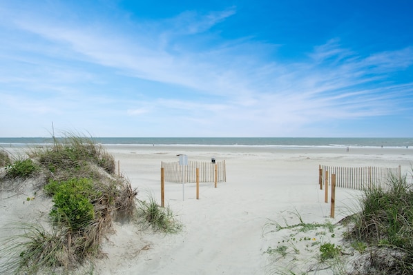 Playa en los alrededores y camastros 