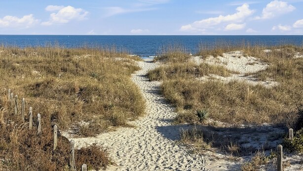 Ein sandiger Küstenweg führt zum Meer, umgeben von trockenem Gras und Holzpfählen.