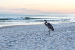 On the beach