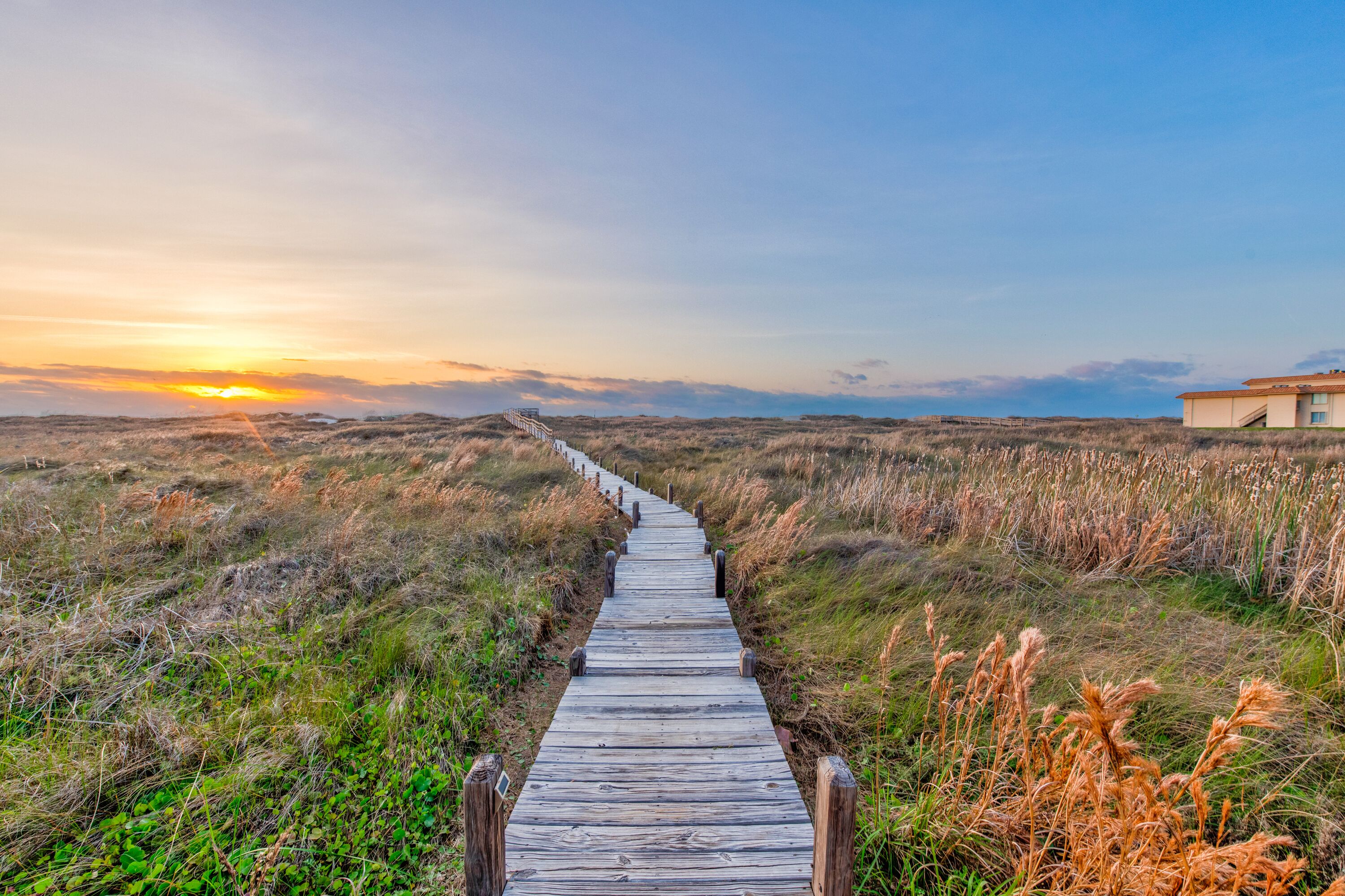 Une promenade en bois mène à un bâtiment doté d’un toit plat, entouré de dunes verdoyantes, avec un coucher de soleil en arrière-plan.