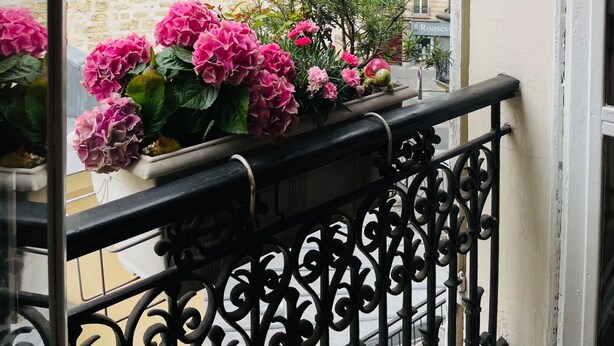 A balcony with a wrought iron railing and a potted plant with pink flowers. - Ideal for family, friends, 2 bedrooms, 2 BR, 2 WC, 5 mn walk from Champs-Elysées (Paris)