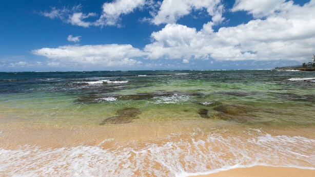 Beach - Vacation beach home for sun and fun (Waialua)