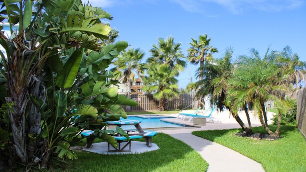 Un jardin avec une piscine, des palmiers et un chemin en béton.