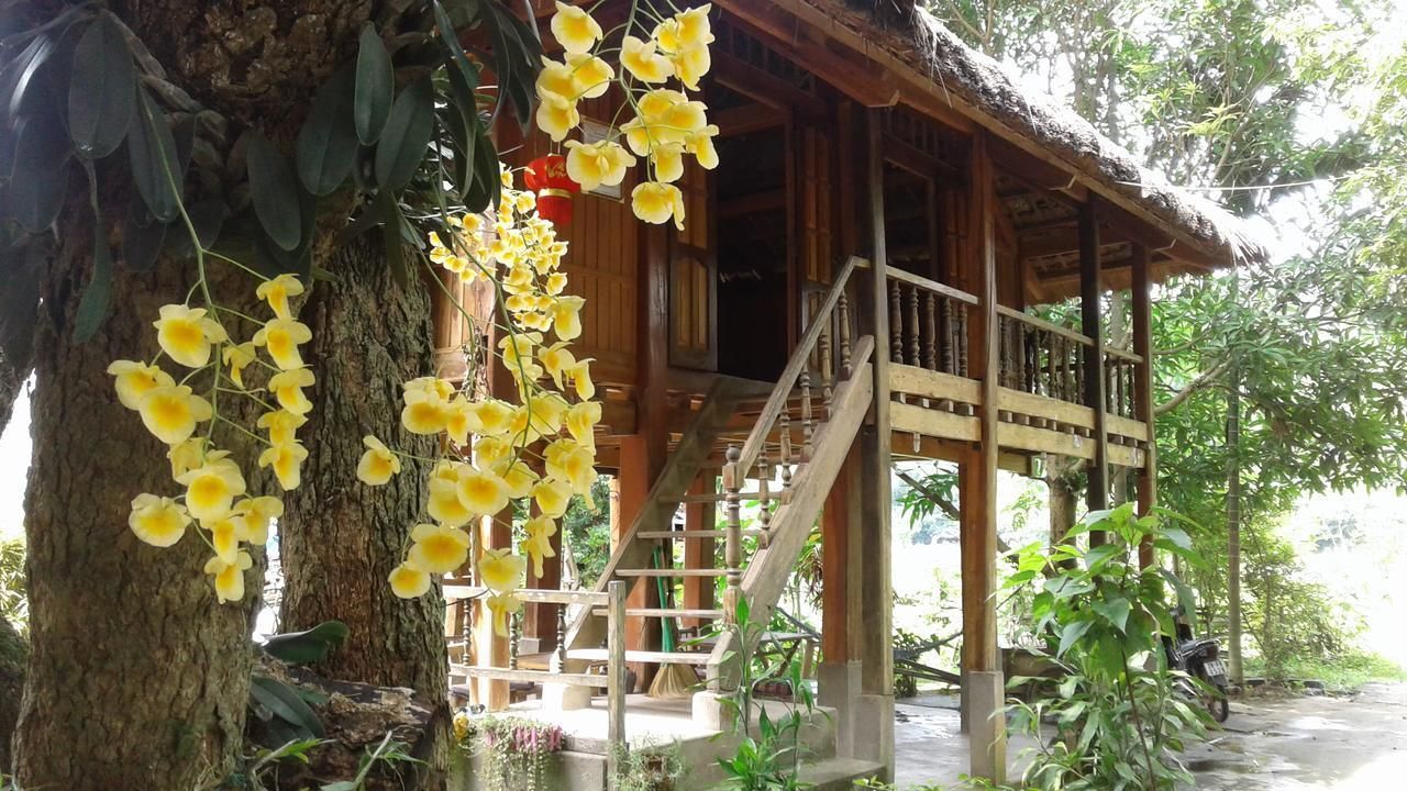 A wooden structure with a staircase leading to a covered area, surrounded by trees and greenery.