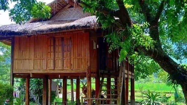 Una casa de madera con techo de paja, rodeada de abundante vegetación y un cuerpo de agua.