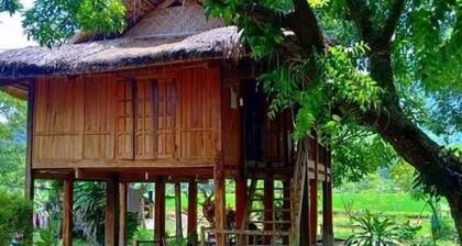 Linh Soi Homestay - Hostel