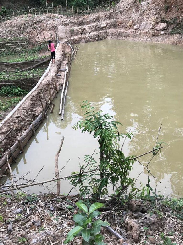 A pond with a wooden walkway and a person standing by the edge.