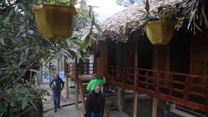 A traditional wooden structure with a thatched roof, surrounded by greenery. - Ban Buoc Homestay - Hostel (Muong Bi)