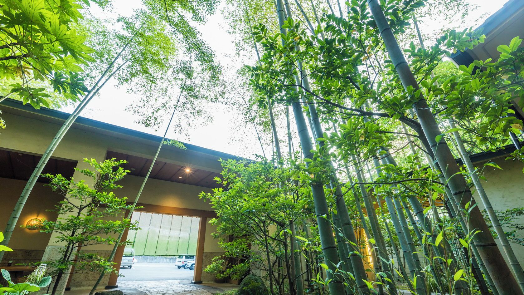 Un bâtiment traditionnel doté d’une entrée couverte, entouré de grands plants de bambou.