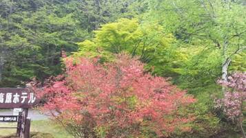 Overnattingsstedets uteområder