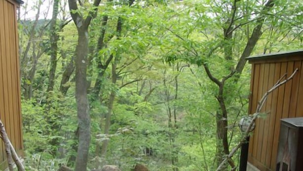 A hot spring bath with a view of a forested area. - Shiobara Onsen Okushiobara Kogen Hotel (Nasushiobara)