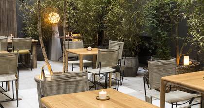 One Shot Fortuny