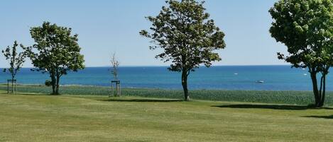 A grassy area with trees and a view of the sea.