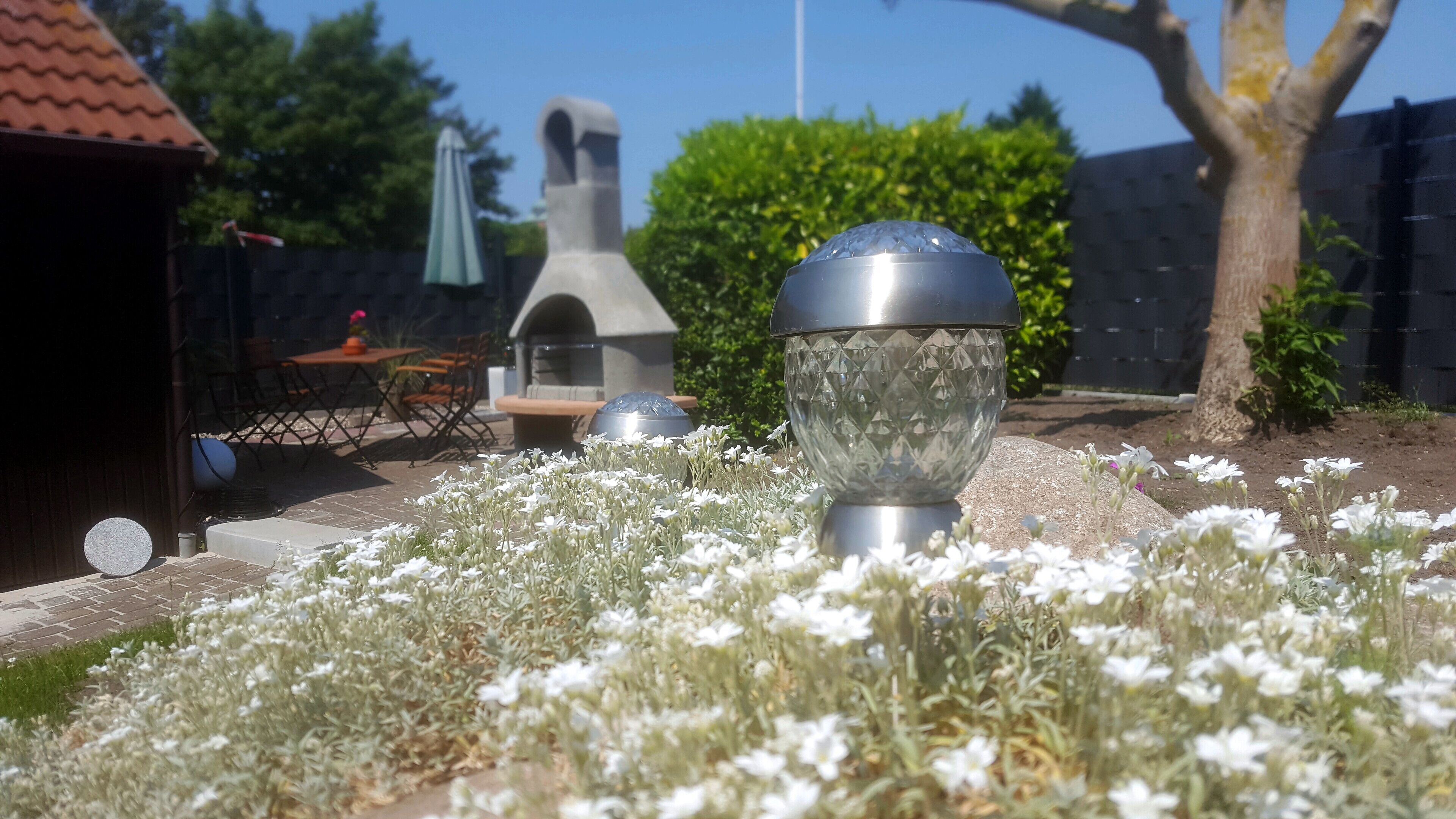 Ein Garten mit weißen Blumen, einem Grillplatz und Sitzgelegenheiten im Freien.