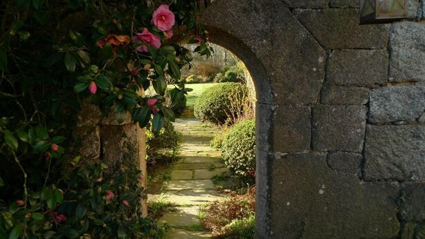 Jardines del alojamiento