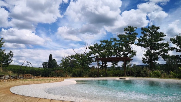 A wooden deck surrounding a swimming pool with a pergola and trees in the background.