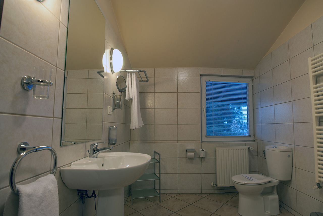 standard double room, 1 bedroom | bathroom shower