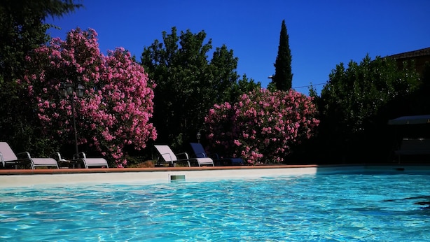 A clear pool with visible ripples, surrounded by pink flowering trees and a row of sun loungers. - Villa al Piano (Lastra a Signa)