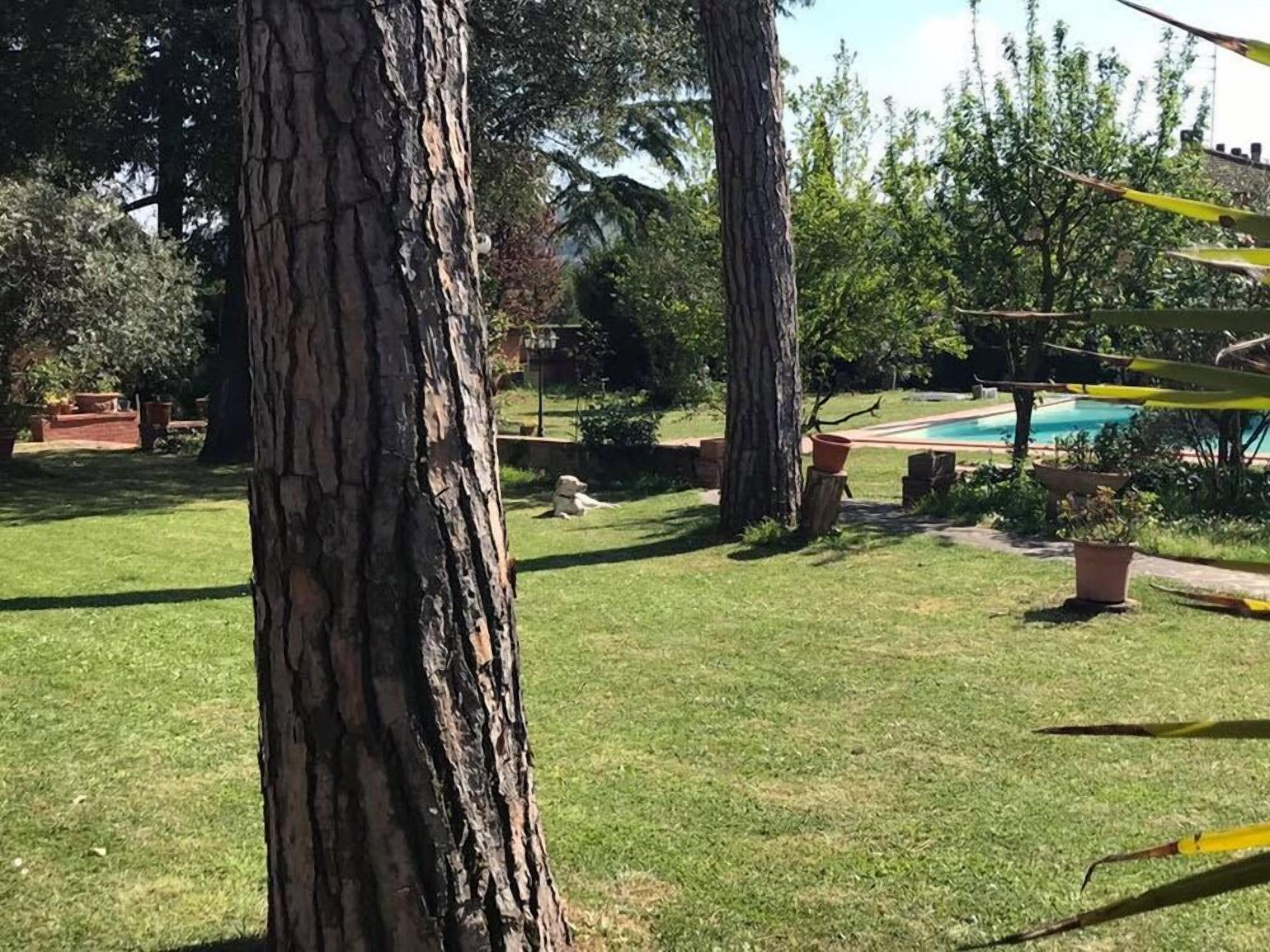 Parco della struttura