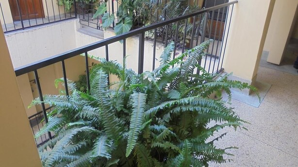 A multi-level interior with a balcony, indoor plants, and a tiled floor. - New Swanga Guest House (Nairobi)
