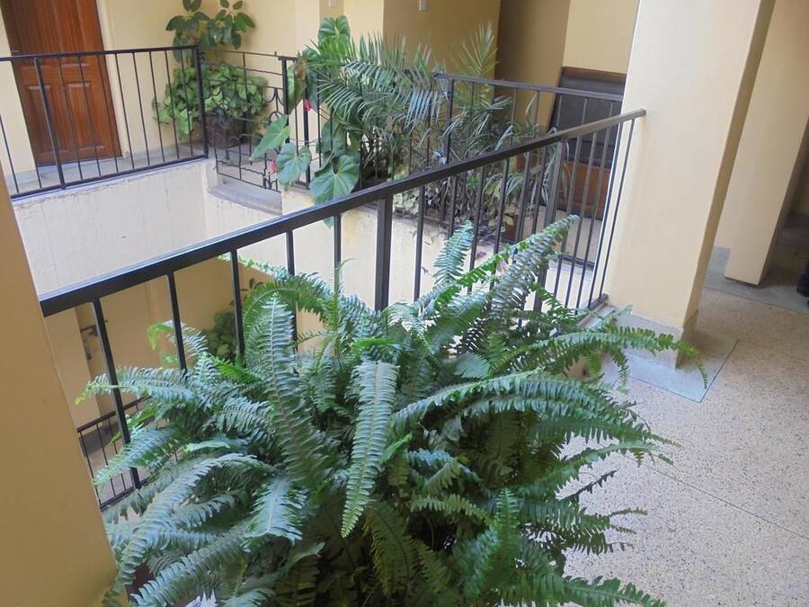 Detalle del interior